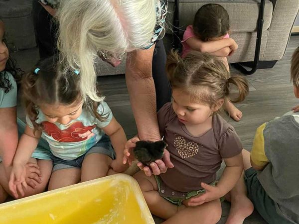 1 year Old Cece with Baby Chick in 2024
