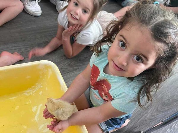 2 Year old Charlotte Holding Baby Chick