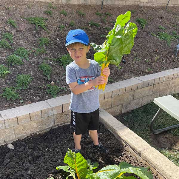 Blake Gardening