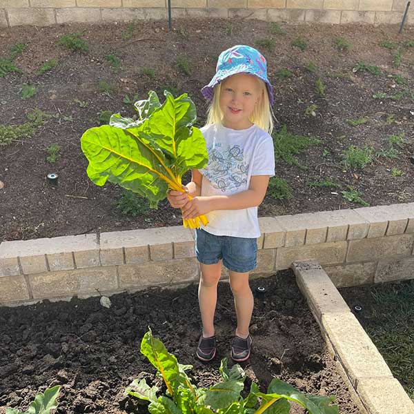 Cailey Gardening