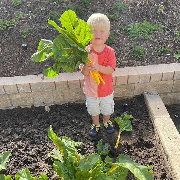 Colton Gardening